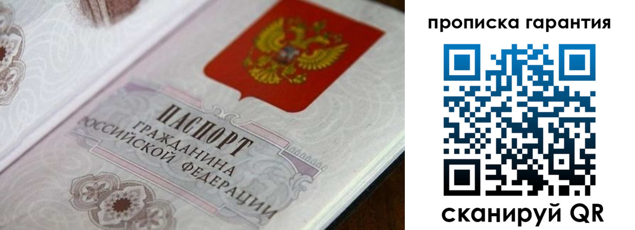 прописка законно в Ермолино